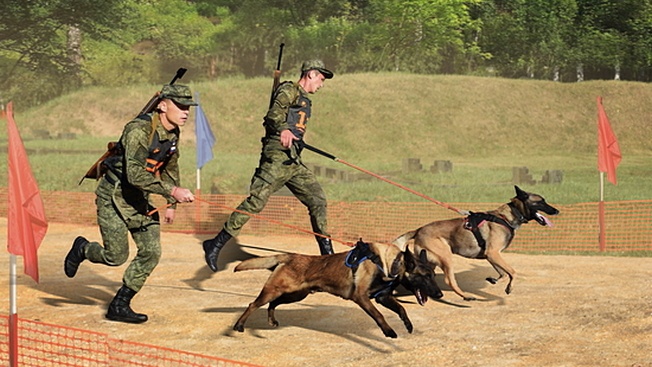 «Дог-биатлон» - это скоростная «пробежка» со служебными собаками на три километра с двумя огневыми рубежами для стрельбы.