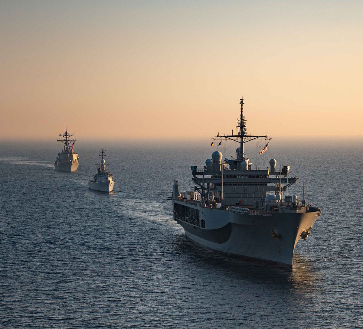 USS Mount Whitney (LCC-20) и USS Porter (DDG-78) в строю с болгарским фрегатом BGS Gordi в Чёрном море.