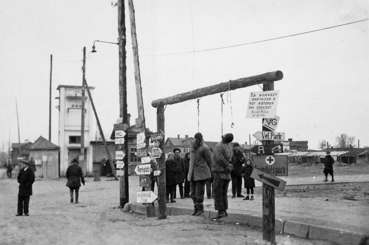 «Новый порядок» в действии.