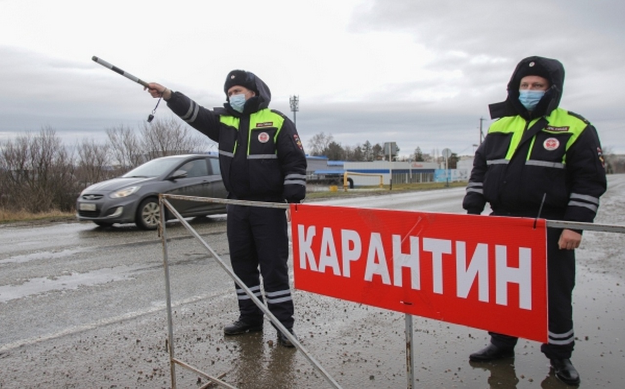 В ряде районов России объявлен биокарантин.