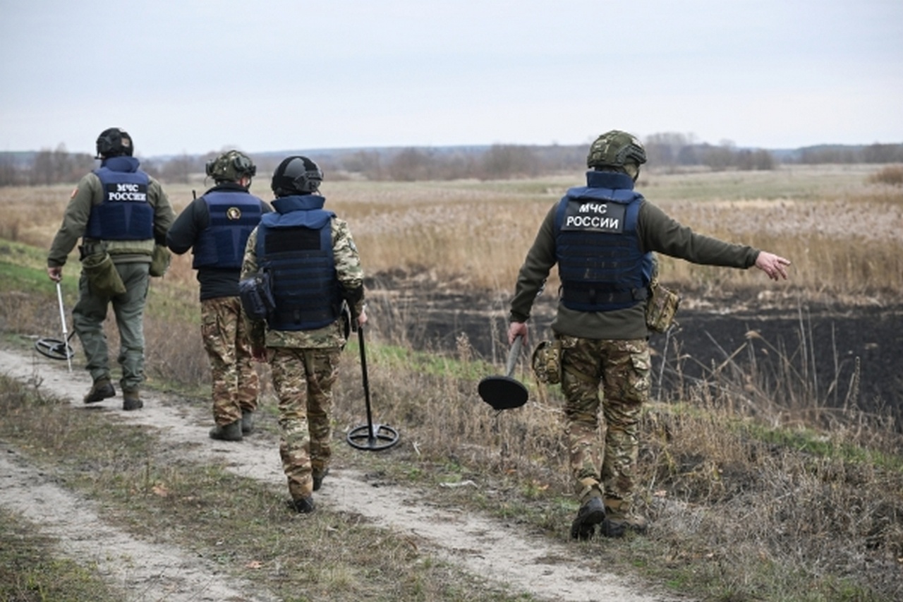 Сводный отряд МЧС РФ проводит разминирование лесного массива в Курской области.