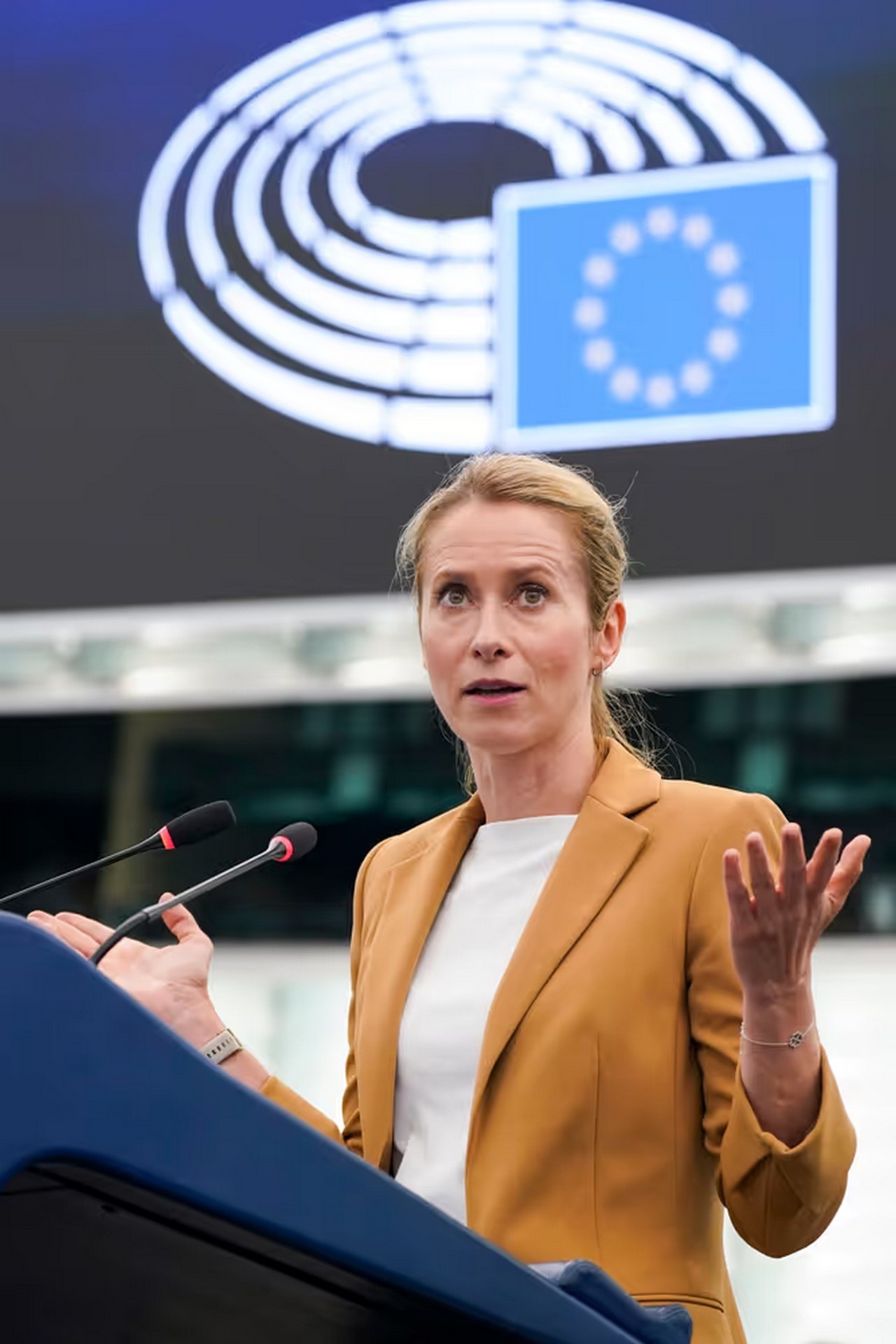 Глава европейской дипломатии Кая Каллас в рамках выступления в Европарламенте подвела итоги поставок помощи киевскому режиму за последние три года.