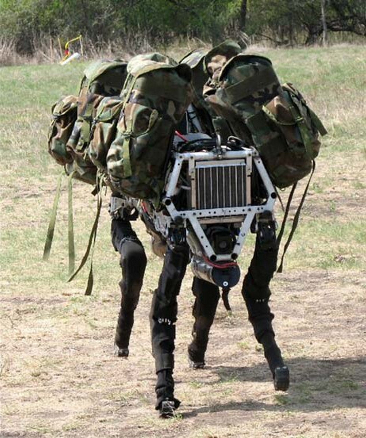 Один из проектов DARPA - биоробот Big Dog - разрабатывался как переносчик грузов, способный преодолевать сложные участки местности.