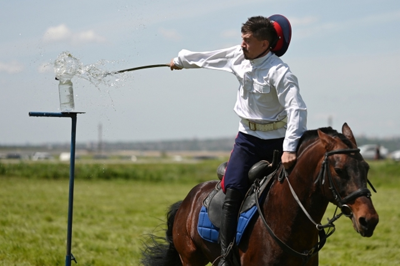 Лошади нужна крепкая рука.