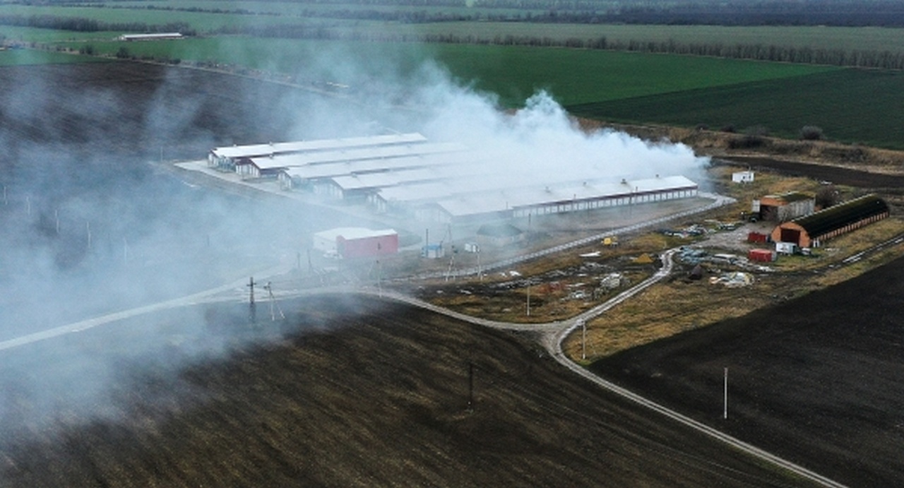 Санитарные мероприятия на территории птицефабрики в Ставропольском крае, где был выявлен очаг птичьего гриппа, 2022 г.