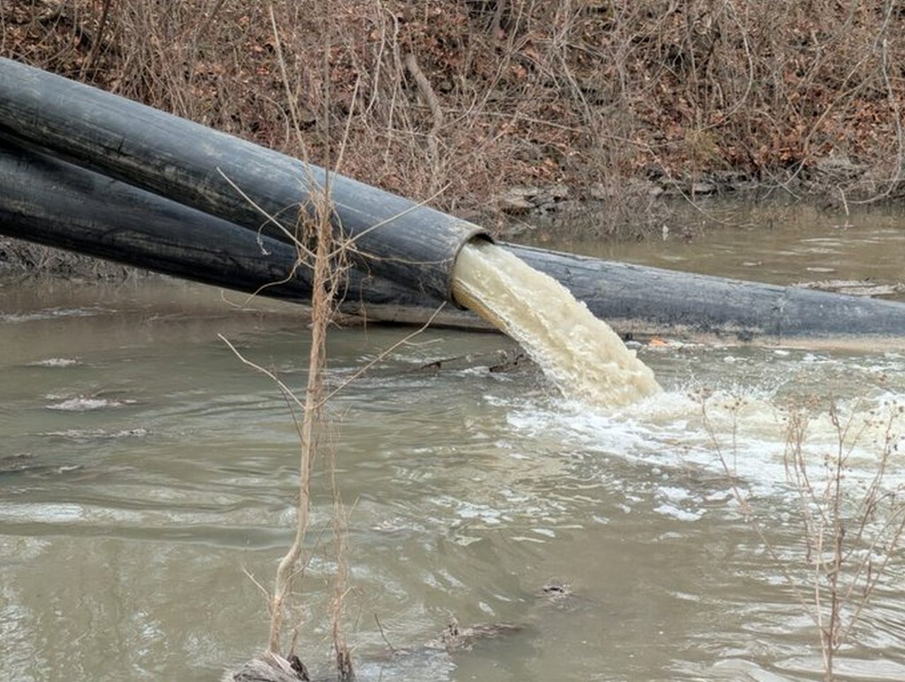 Сточные воды сливаются прямо в реку Потомак.
