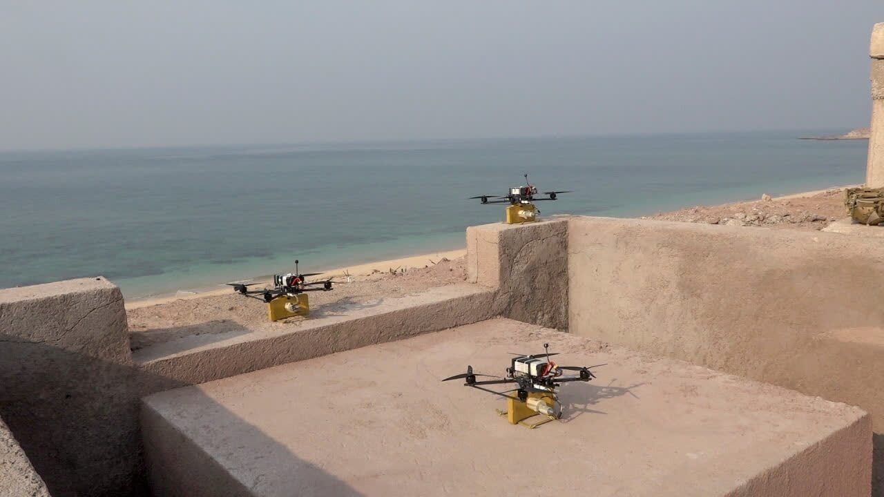 Беспилотники Корпуса стражей исламской революции, размещённые у южного побережья Ирана.