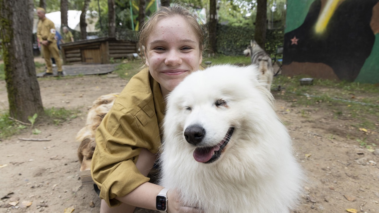 Victory Museum's "Frontline Dog" Festival Attracts Thousands of Visitors
