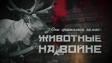 Д/ф «Они сражались за нас: животные на войне» 