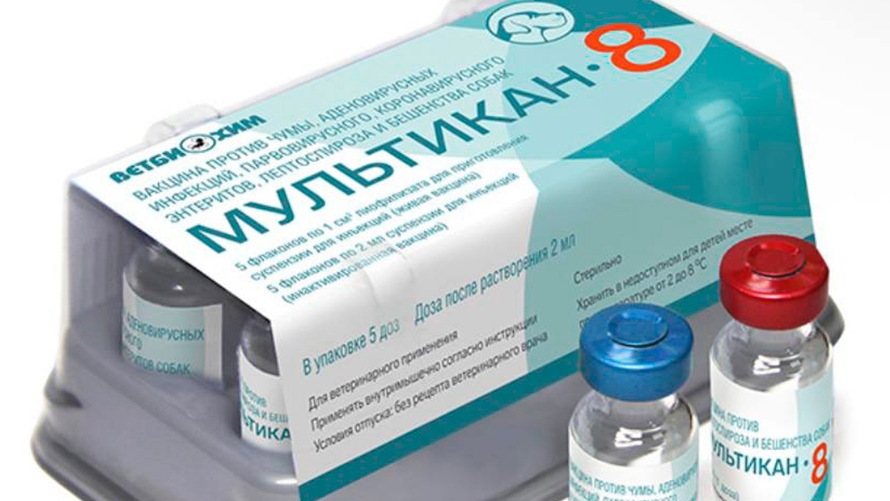Производителя вакцины «Мультикан-8» могут привлечь к уголовной ответственности