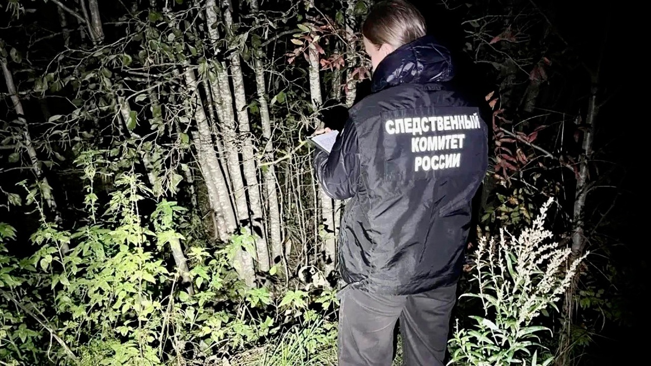 В Вологодской области медведь растерзал 73-летнего охотника