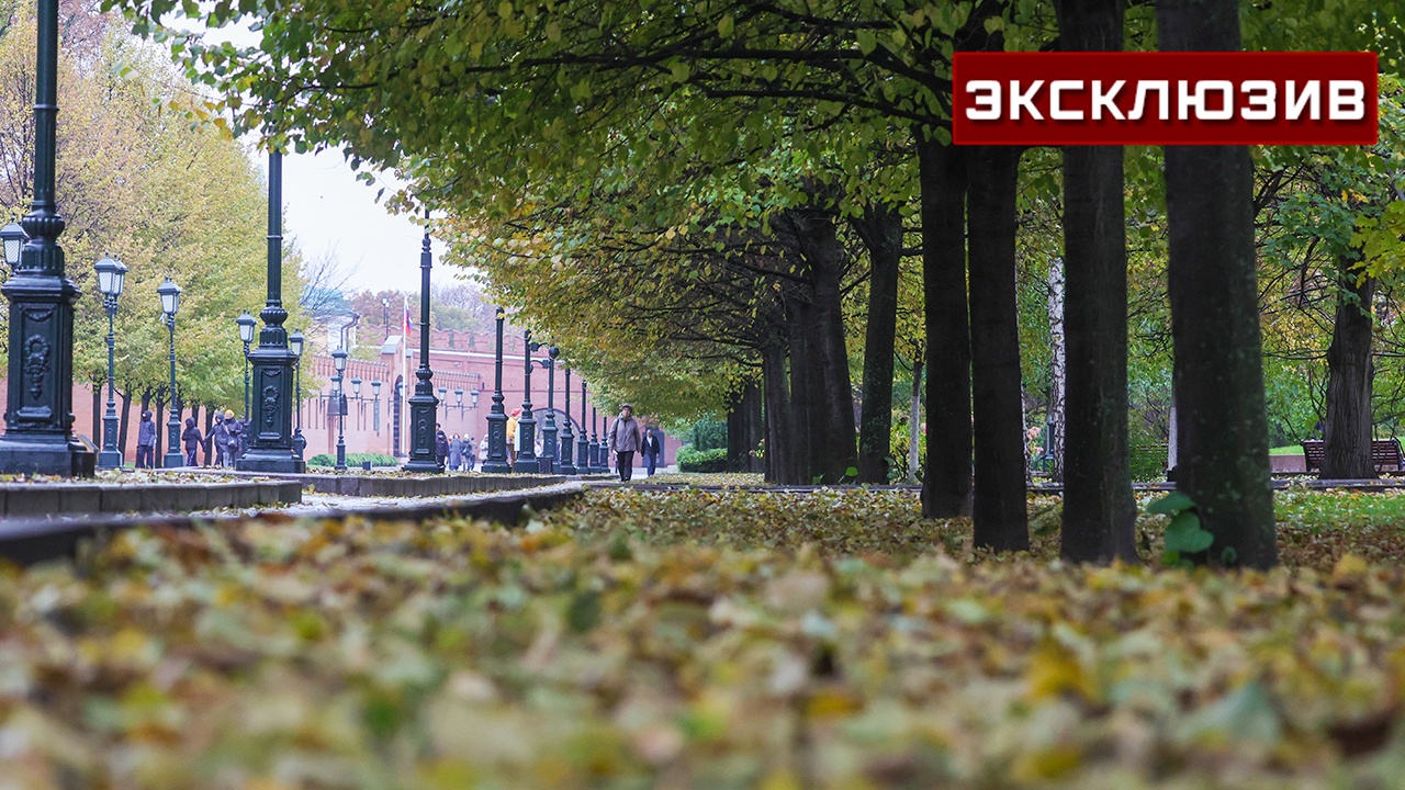Погода в Москве останется в пределах климатической нормы на следующей неделе
