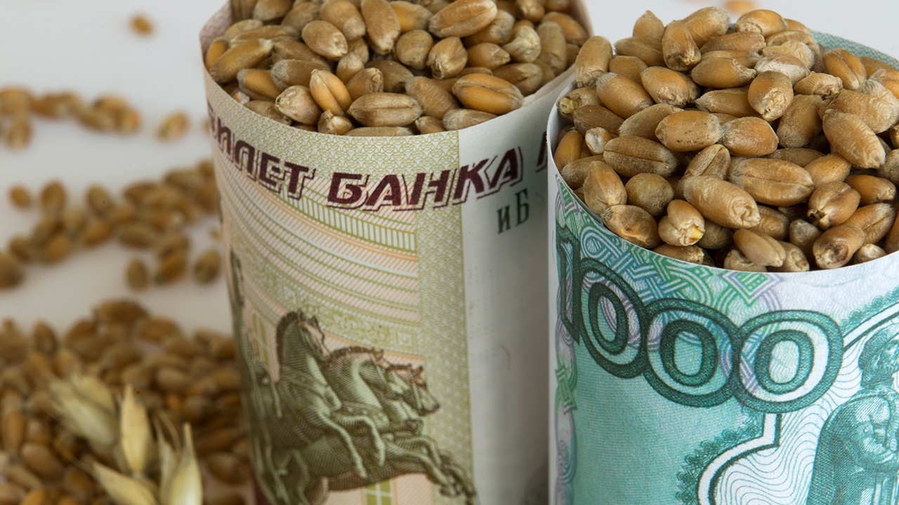 Транзит российского и белорусского зерна запретили в Эстонии