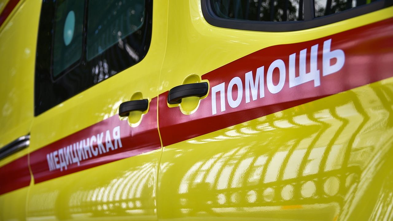 Два грибника подорвались на мине в лесу в Брянской области