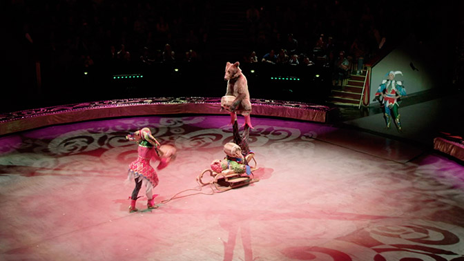 Московский цирк запашных. Заколдованная цирк на вернадского. Зрители в цирке. Санкт петербургский цирк шоу нового поколения. Сколько идет легенда в цирке.